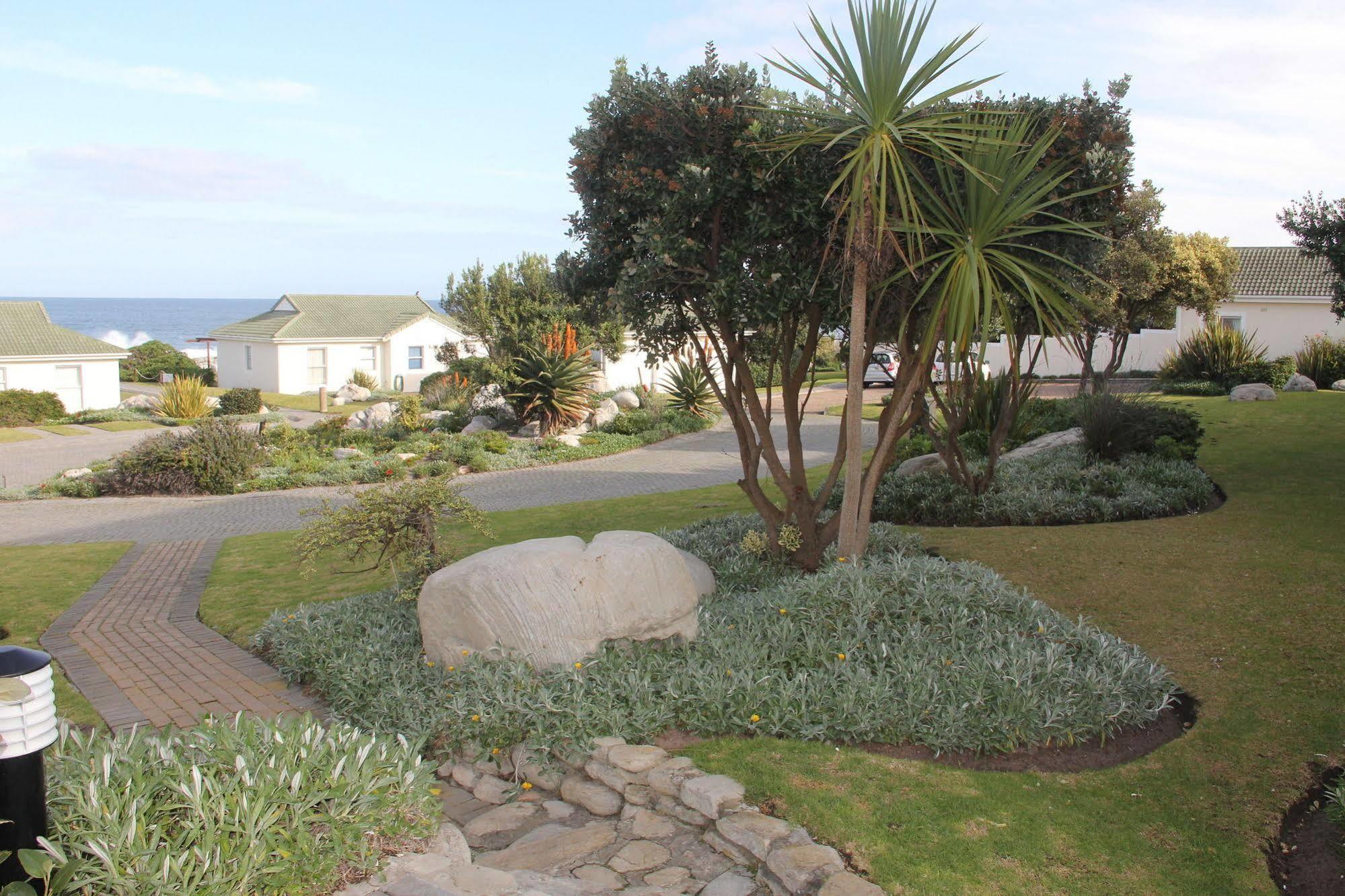 شقة The Potting Shed Self Catering هيرمانوس المظهر الخارجي الصورة