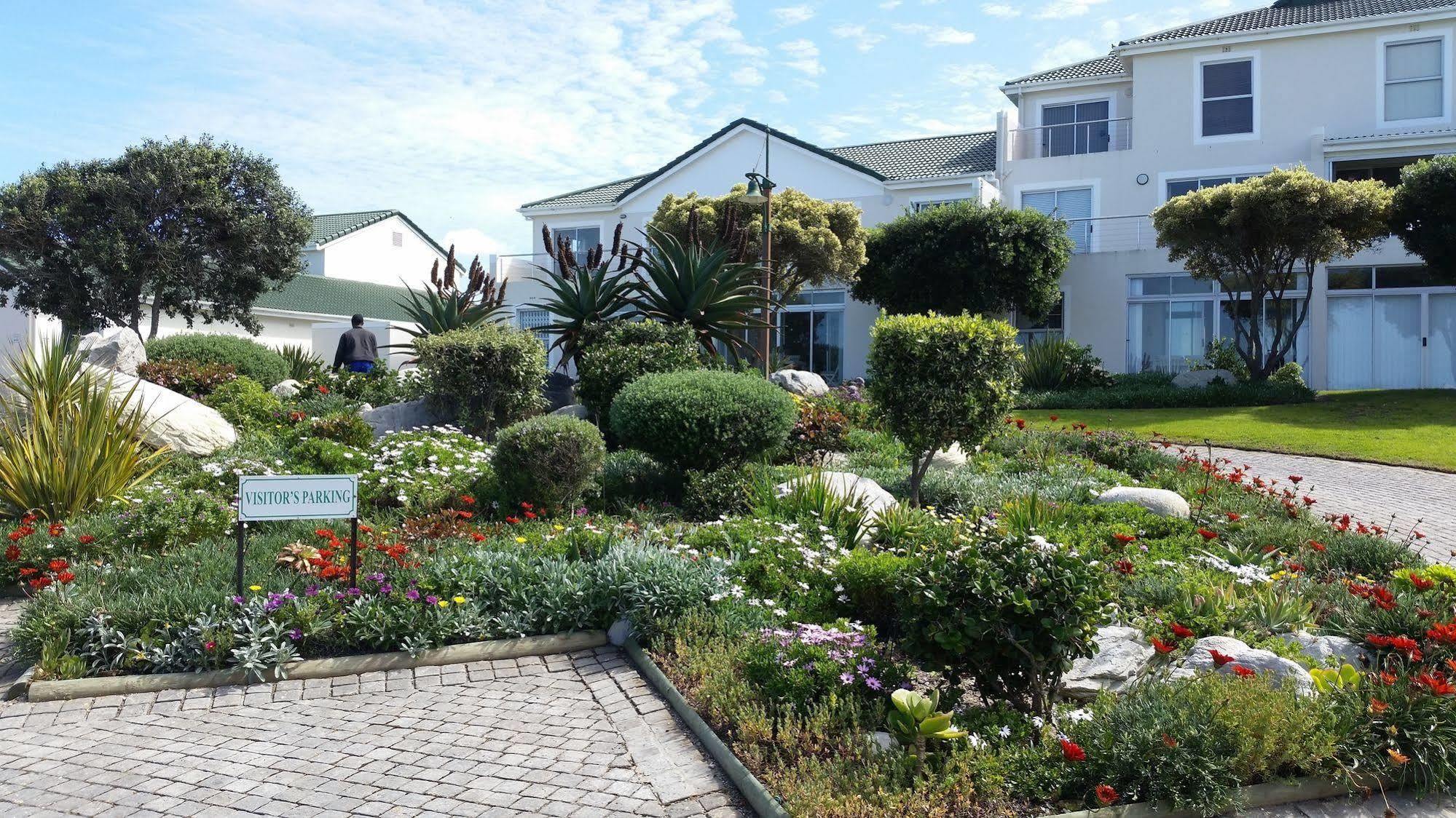 شقة The Potting Shed Self Catering هيرمانوس المظهر الخارجي الصورة
